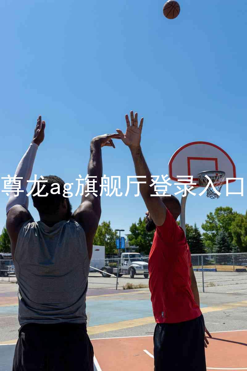 尊龙ag旗舰厅登录入口