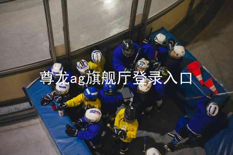 尊龙ag旗舰厅登录入口